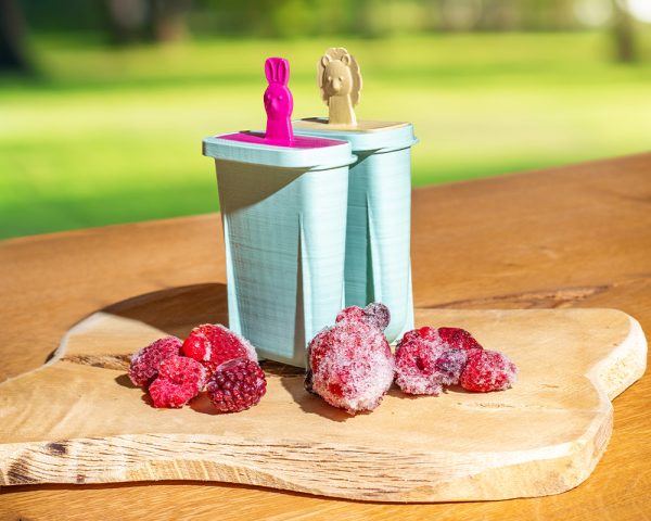 Stieleisform 4er Set mit Tiermotiv – Bild 2