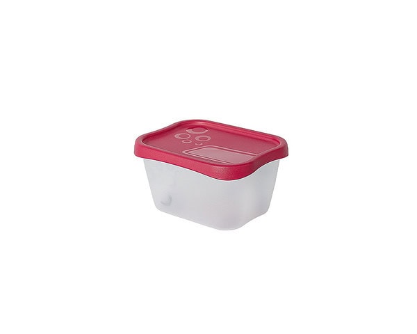 Gefrierdose "Freeze" mittel