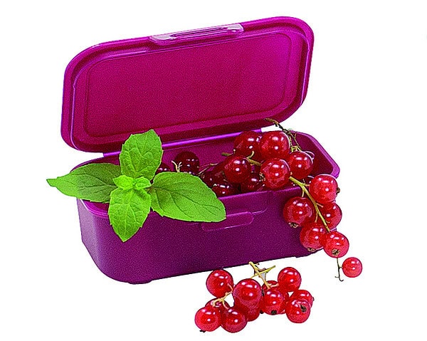 Lunch-Box, micro